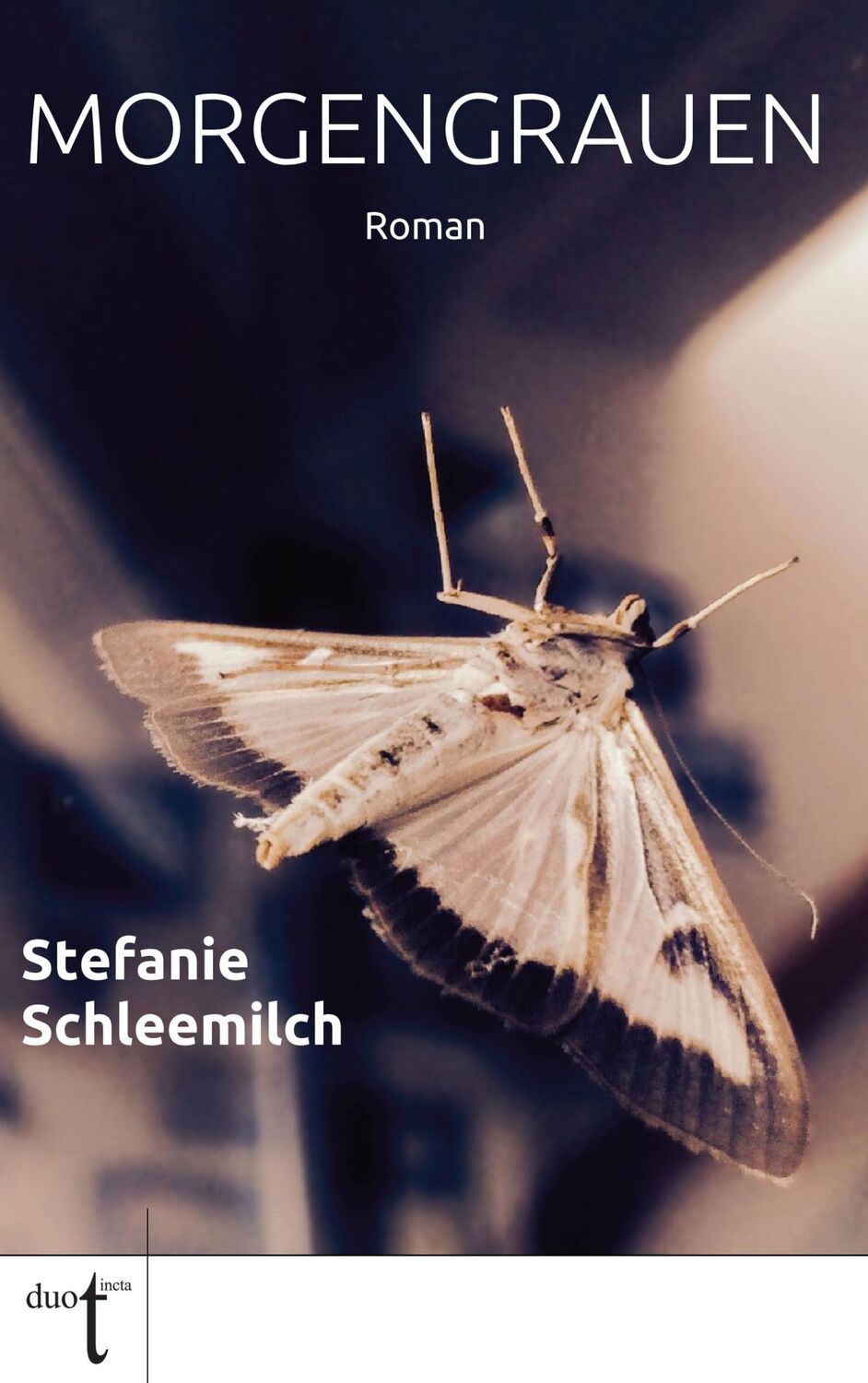 Cover: 9783946086345 | Morgengrauen | Stefanie Schleemilch | Taschenbuch | Paperback | 276 S.