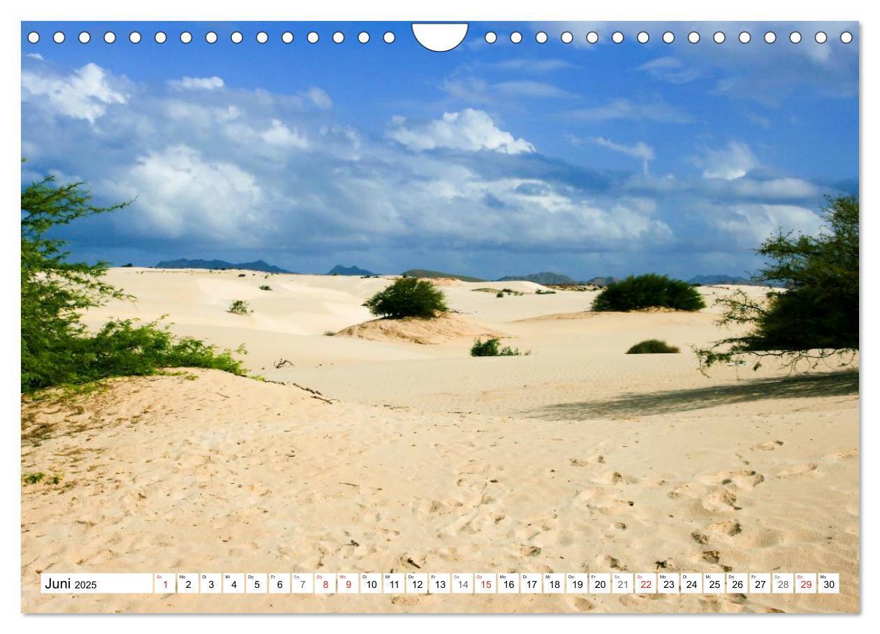 Bild: 9783435624218 | Boa Vista - Kapverden. Die Gemütliche (Wandkalender 2025 DIN A4...