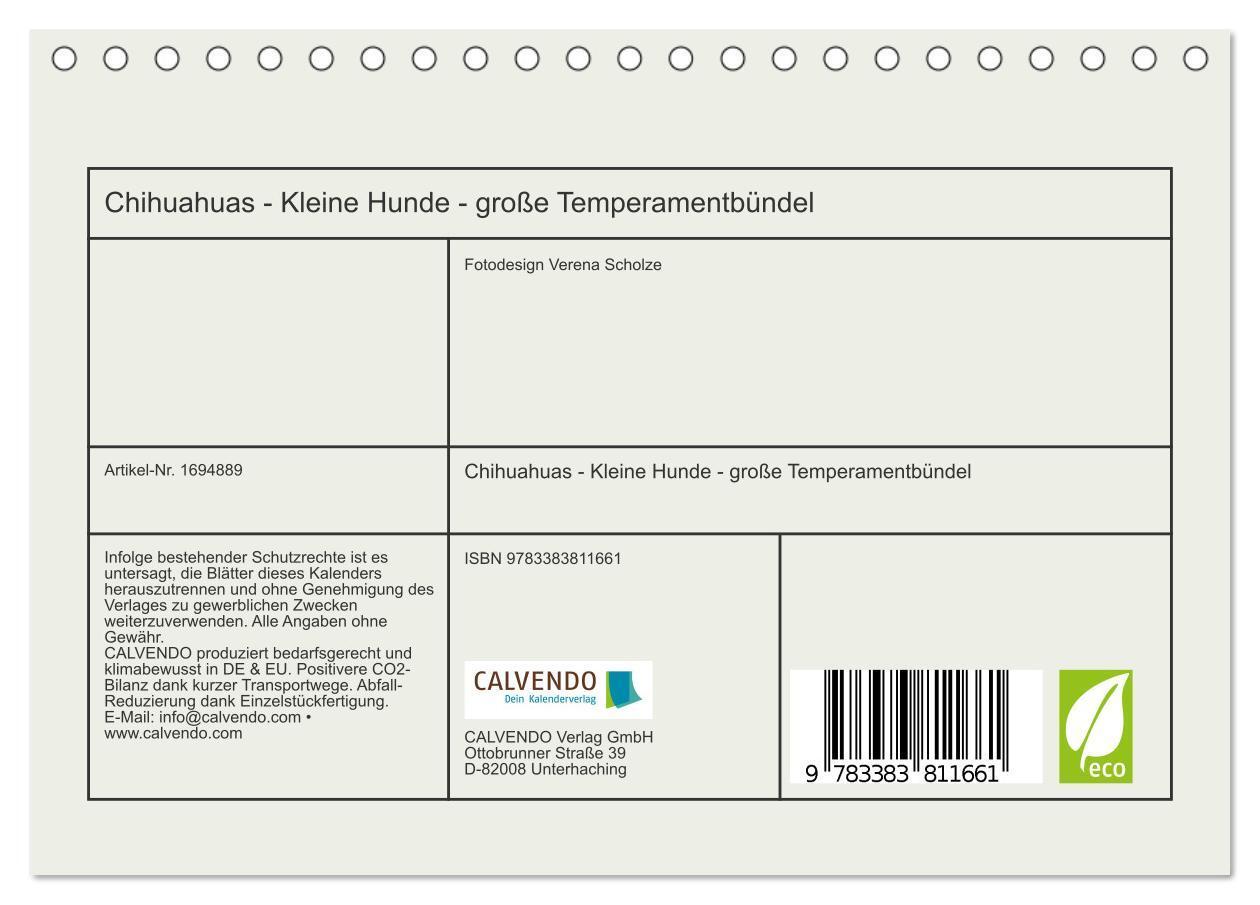 Bild: 9783383811661 | Chihuahuas - Kleine Hunde - große Temperamentbündel (Tischkalender...