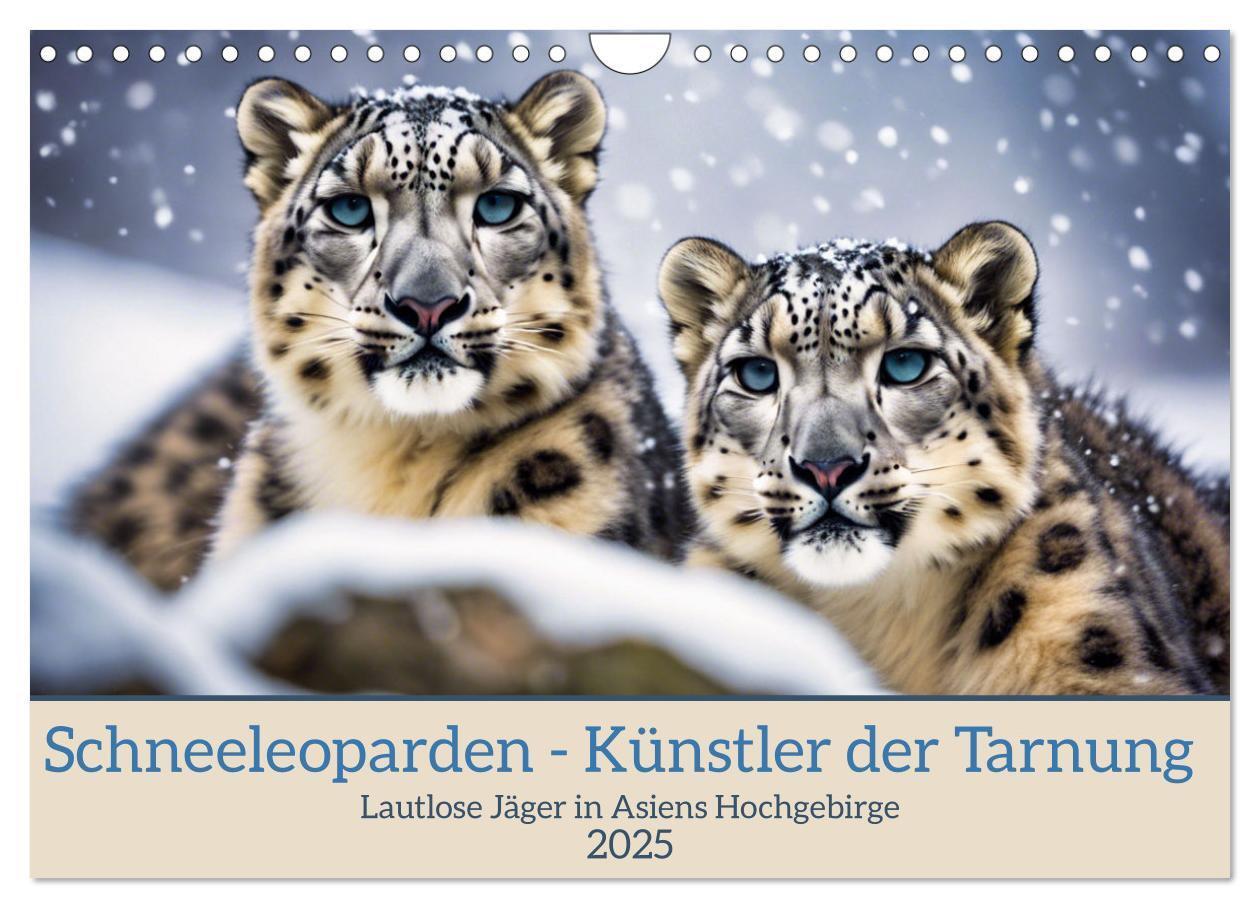 Cover: 9783383817557 | Schneeleoparden - Meister der Tarnung (Wandkalender 2025 DIN A4...