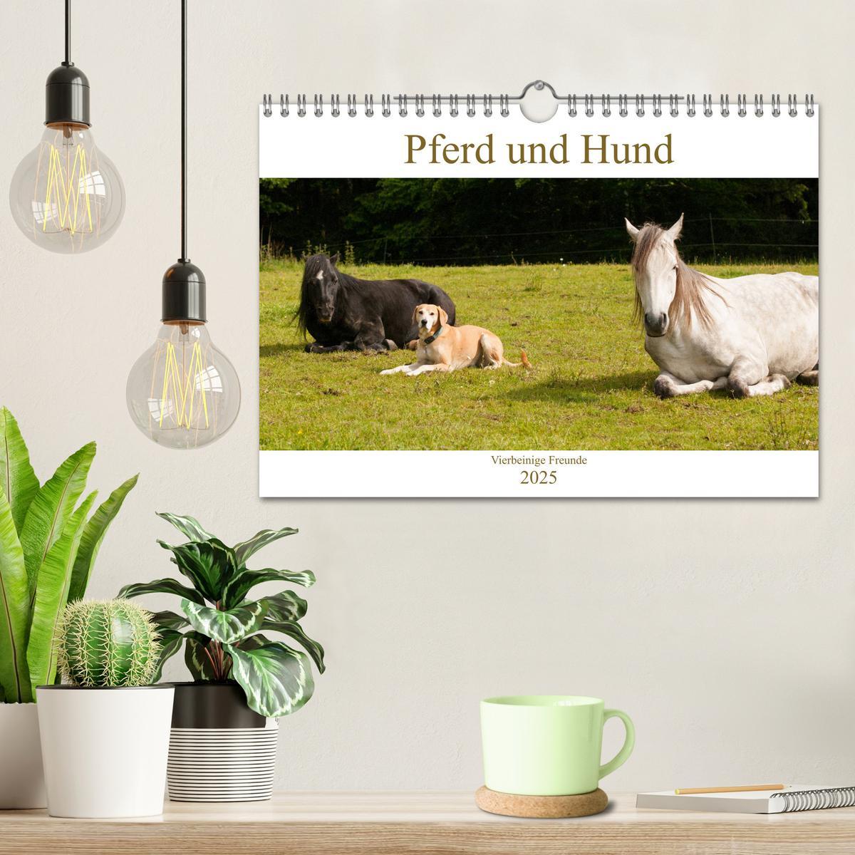 Bild: 9783435275182 | Pferd und Hund - Vierbeinige Freunde (Wandkalender 2025 DIN A4...