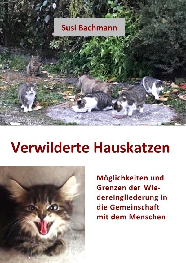 Cover: 9783757512910 | Verwilderte Hauskatzen | Susi Bachmann | Taschenbuch | 76 S. | Deutsch