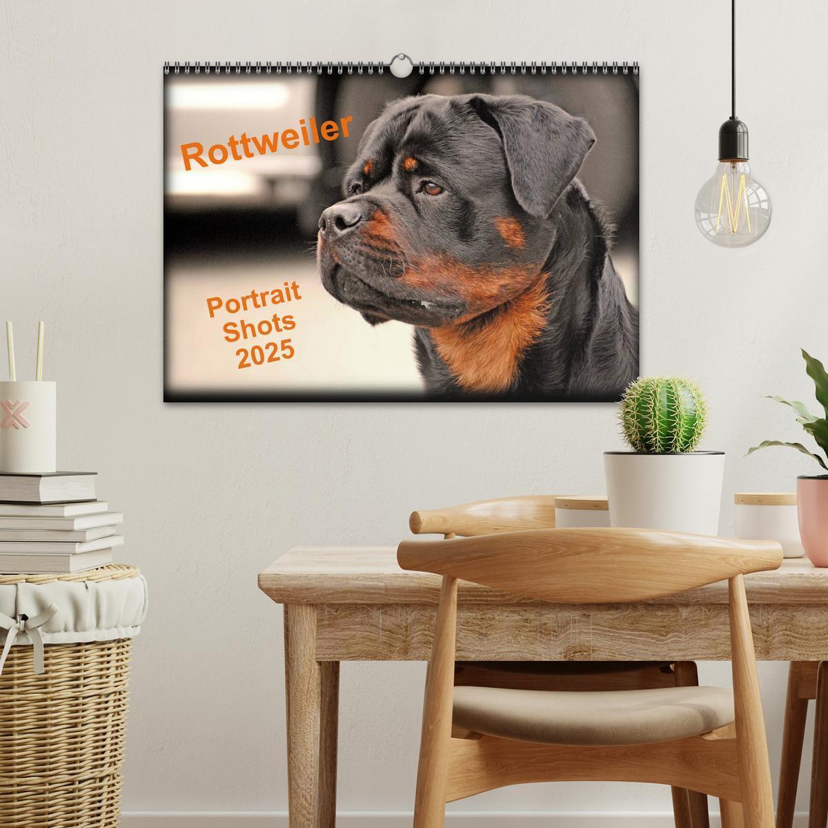 Bild: 9781325956319 | Rottweiler Portait Shots 2025 (Wall Calendar 2025 DIN A3...