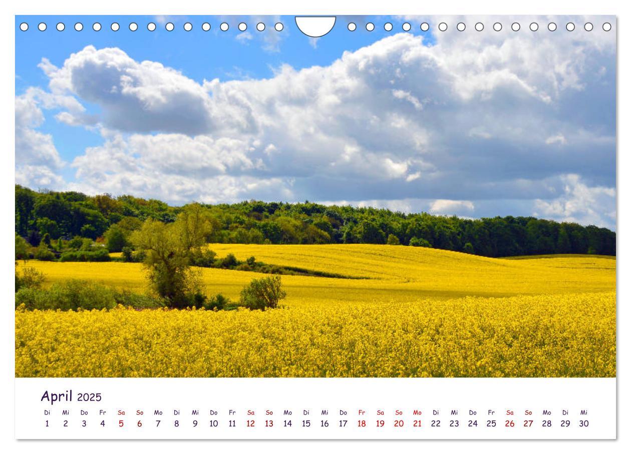 Bild: 9783435134540 | Natur und Landschaft Mecklenburg - Vorpommern 2025 (Wandkalender...