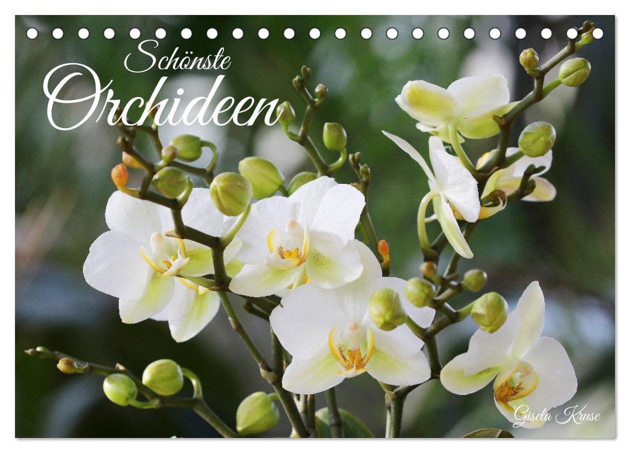 Cover: 9783383914799 | Schönste Orchideen (Tischkalender 2025 DIN A5 quer), CALVENDO...