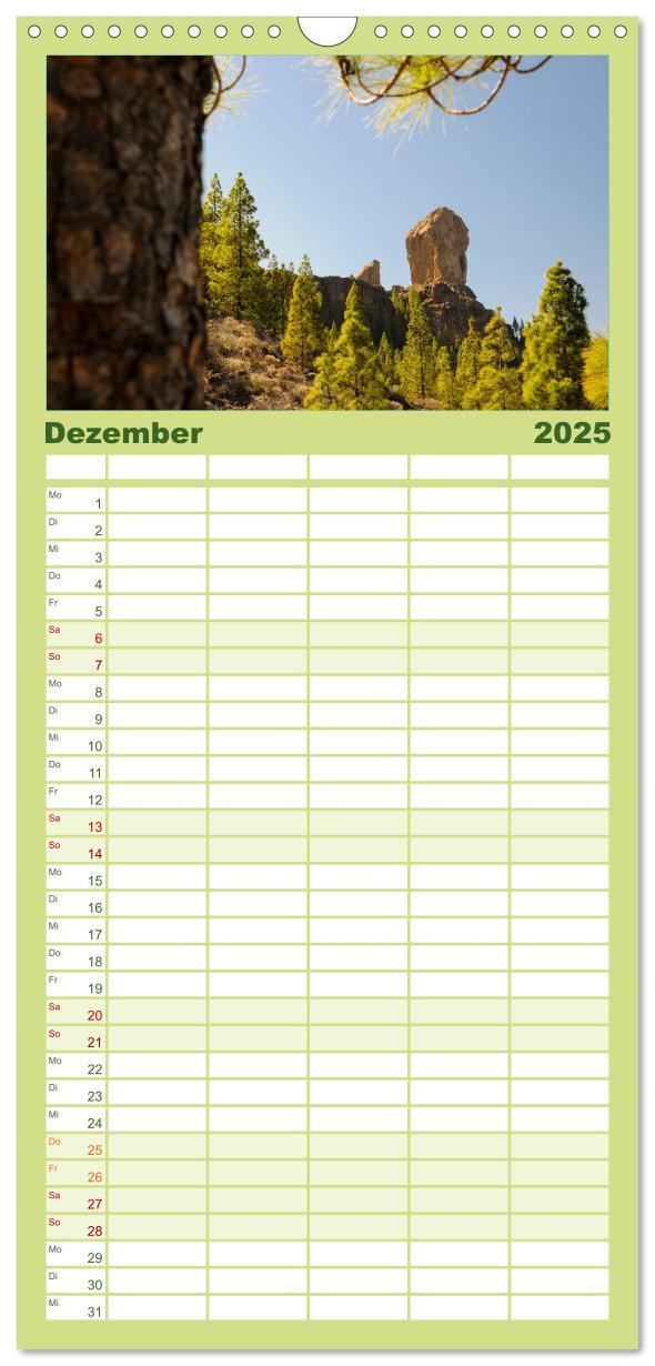 Bild: 9783457120941 | Familienplaner 2025 - Gran Canaria mit 5 Spalten (Wandkalender, 21...