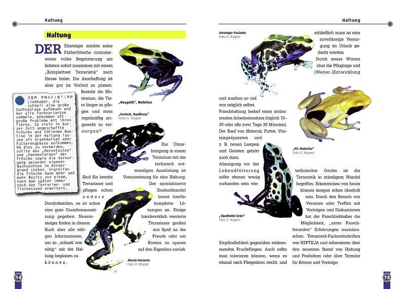 Bild: 9783866590694 | Der Färberfrosch - Dendrobates Tinctorius | Dirk Wagner | Taschenbuch