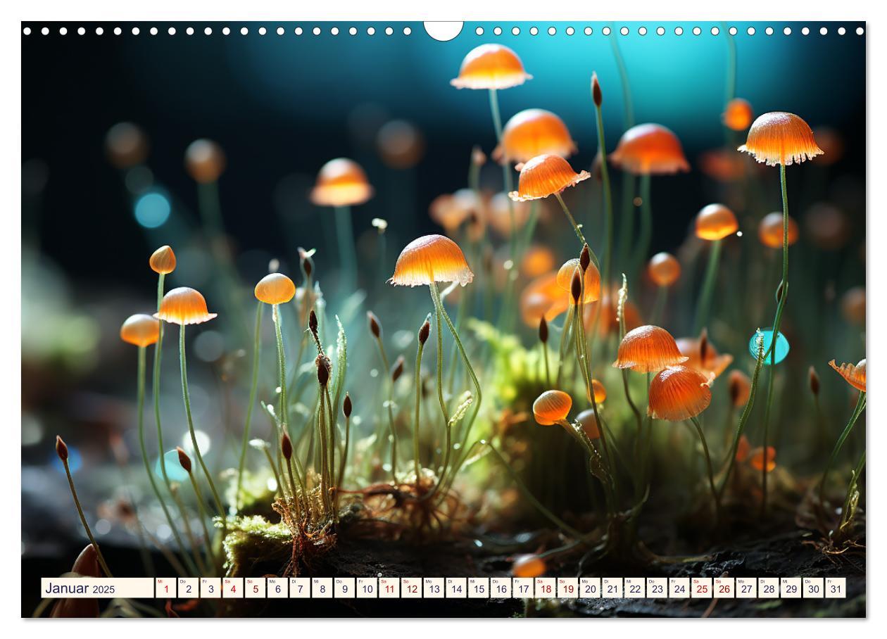 Bild: 9783383869785 | Wunderwelt Mikrokosmos (Wandkalender 2025 DIN A3 quer), CALVENDO...