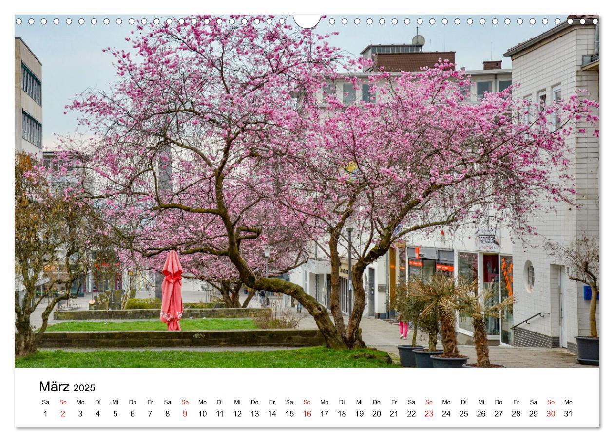 Bild: 9783435290888 | Kassel - Impressionen (Wandkalender 2025 DIN A3 quer), CALVENDO...