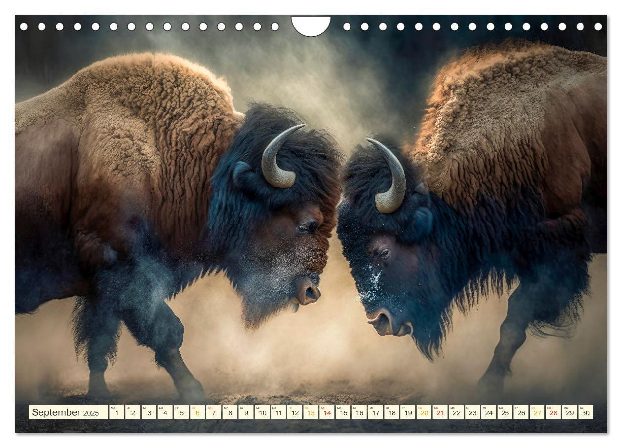 Bild: 9783383912092 | Amerikanischer Bison (Wandkalender 2025 DIN A4 quer), CALVENDO...