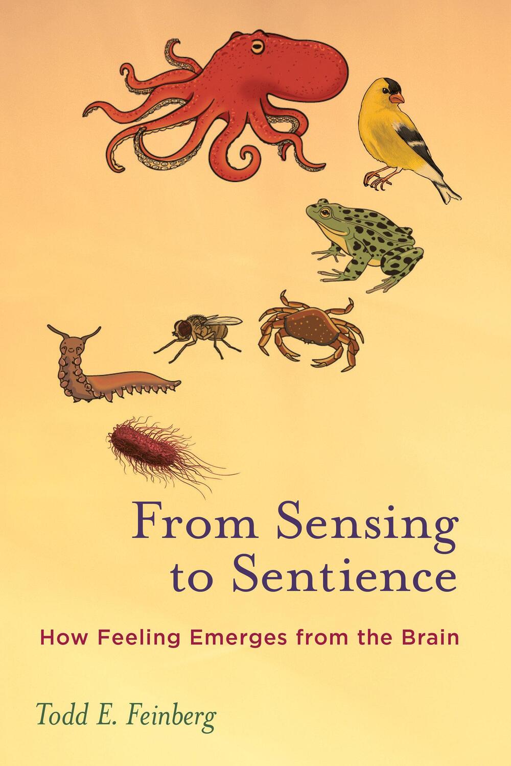 Cover: 9780262550956 | From Sensing to Sentience | How Feeling Emerges from the Brain | Buch