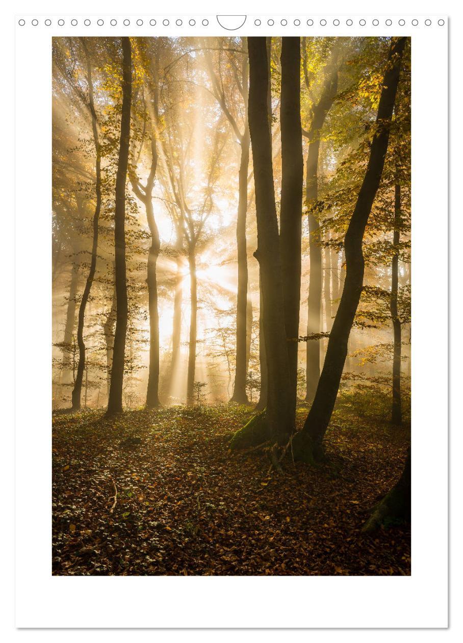 Bild: 9783435989874 | peaceful silence - einsame Landschaften (Wandkalender 2025 DIN A3...