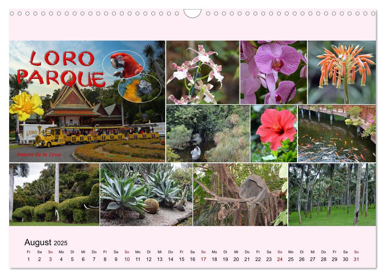 Bild: 9783435006007 | Zauberhaftes Teneriffa (Wandkalender 2025 DIN A3 quer), CALVENDO...