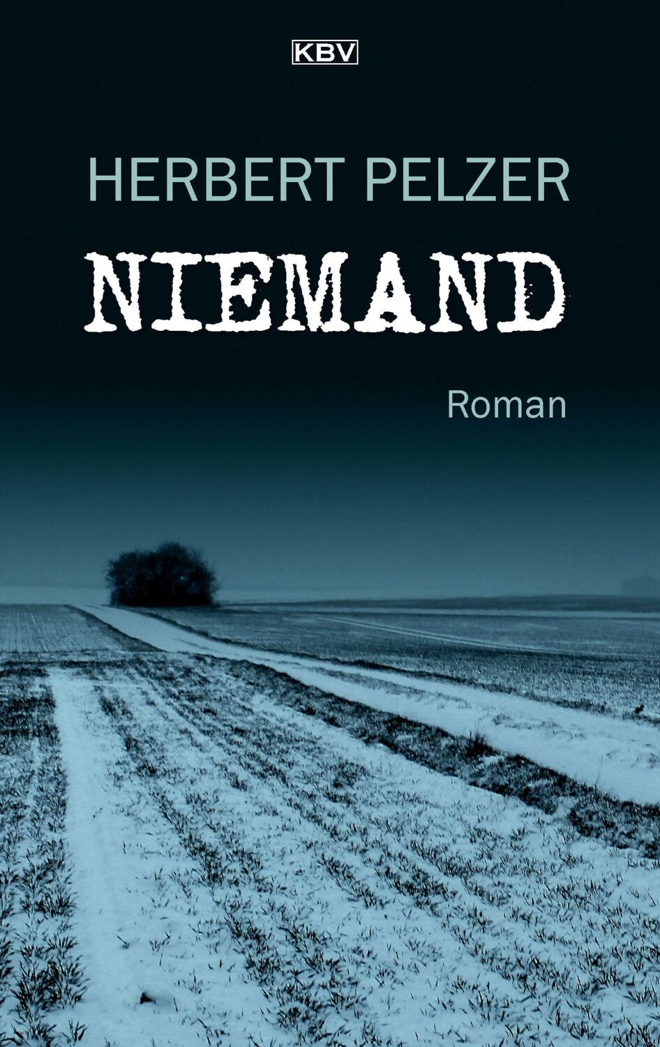 Cover: 9783954416080 | Niemand | Roman | Herbert Pelzer | Taschenbuch | 352 S. | Deutsch