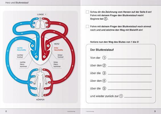 Bild: 9783939293385 | Ich kenne meinen Körper - 3 Hefte im Kombi | Katrin Langhans | Buch