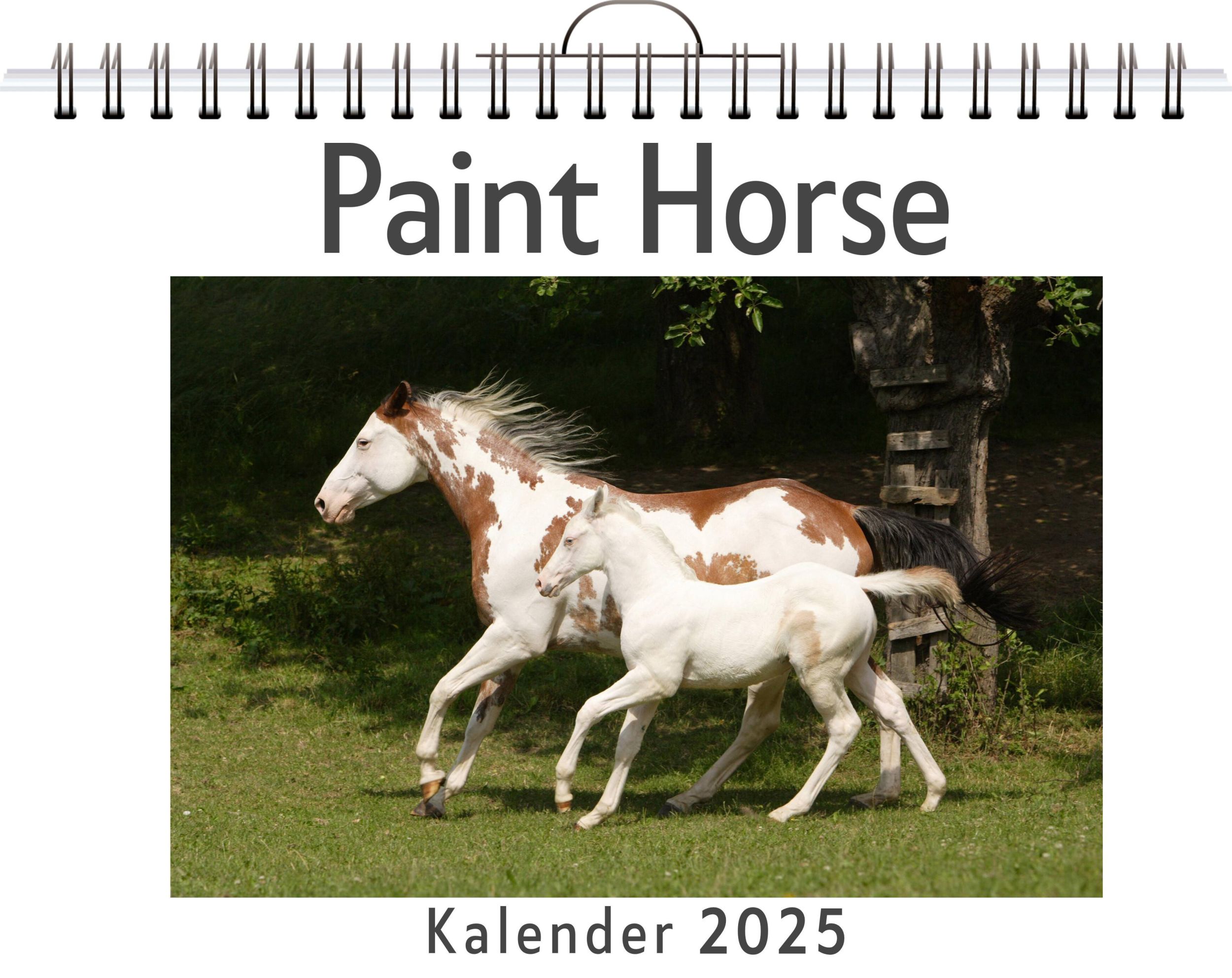 Cover: 9783759132147 | Paint Horse | Matteo Kaiser | Kalender | Kalender | 14 S. | Deutsch