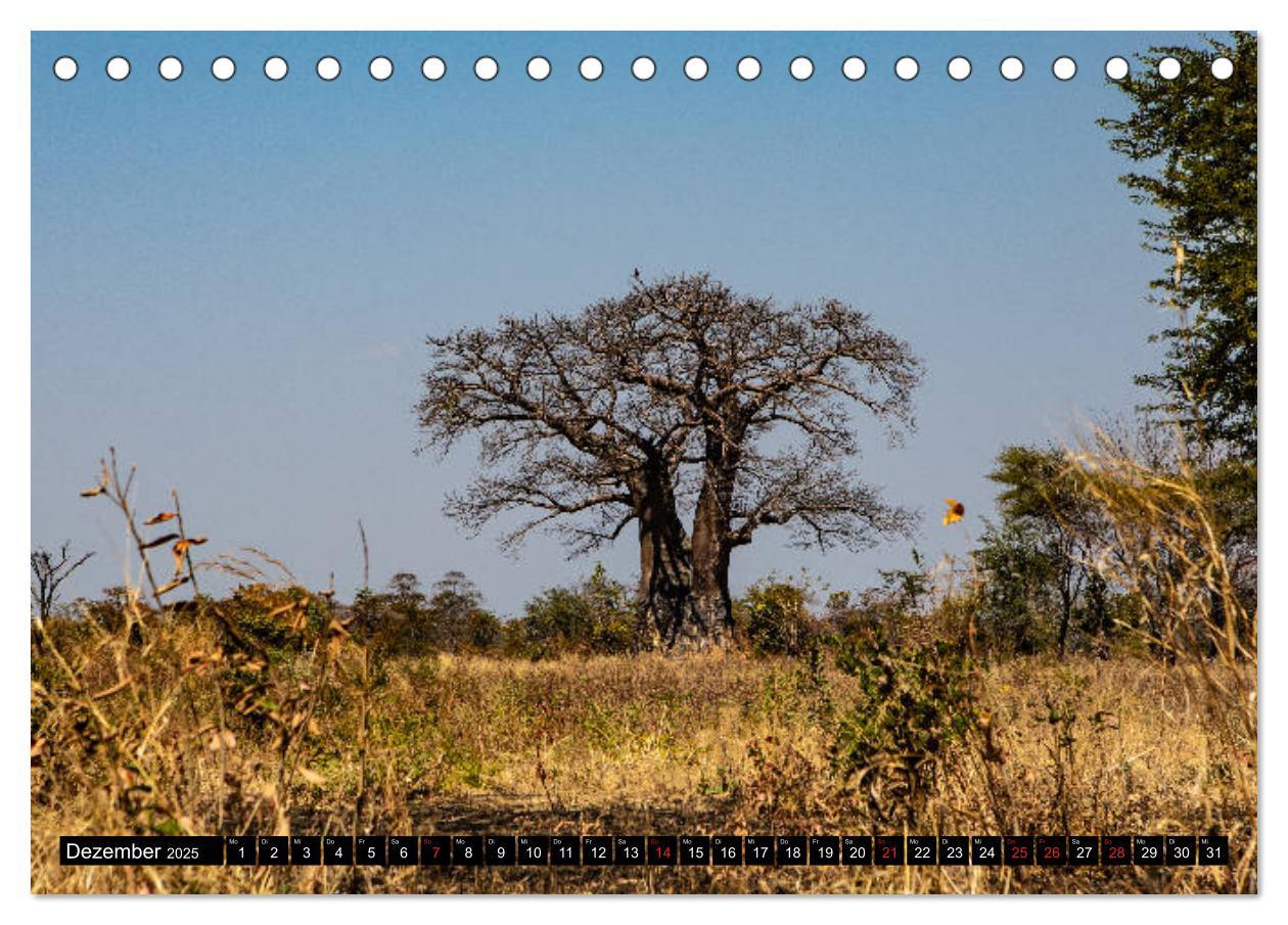 Bild: 9783435298440 | Sambia "Das wirkliche Afrika" (Tischkalender 2025 DIN A5 quer),...