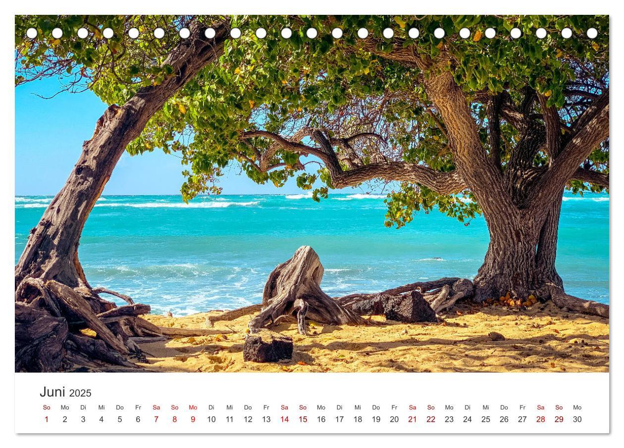 Bild: 9783383939365 | Hawaii - Ein tropisches Paradies. (Tischkalender 2025 DIN A5 quer),...