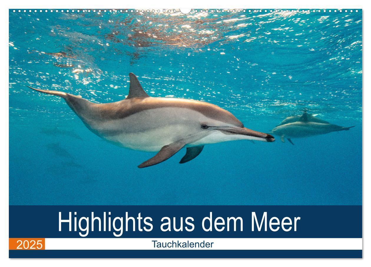 Cover: 9783435615247 | Highlights aus dem Meer - Tauchkalender (Wandkalender 2025 DIN A2...