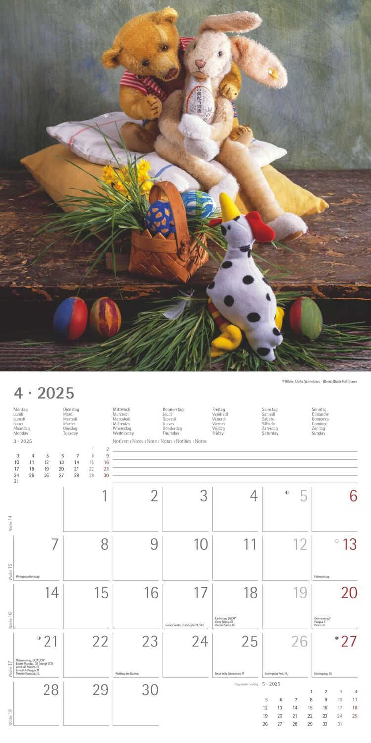 Bild: 4251732340643 | Teddy 2025 - Broschürenkalender 30x30 cm (30x60 geöffnet) -...