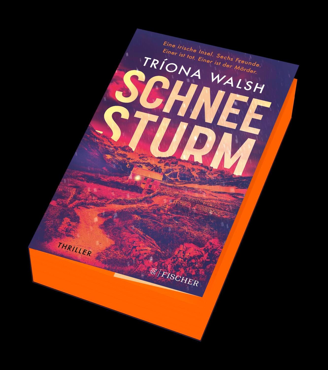 Bild: 9783596708994 | Schneesturm | Tríona Walsh | Taschenbuch | 384 S. | Deutsch | 2023