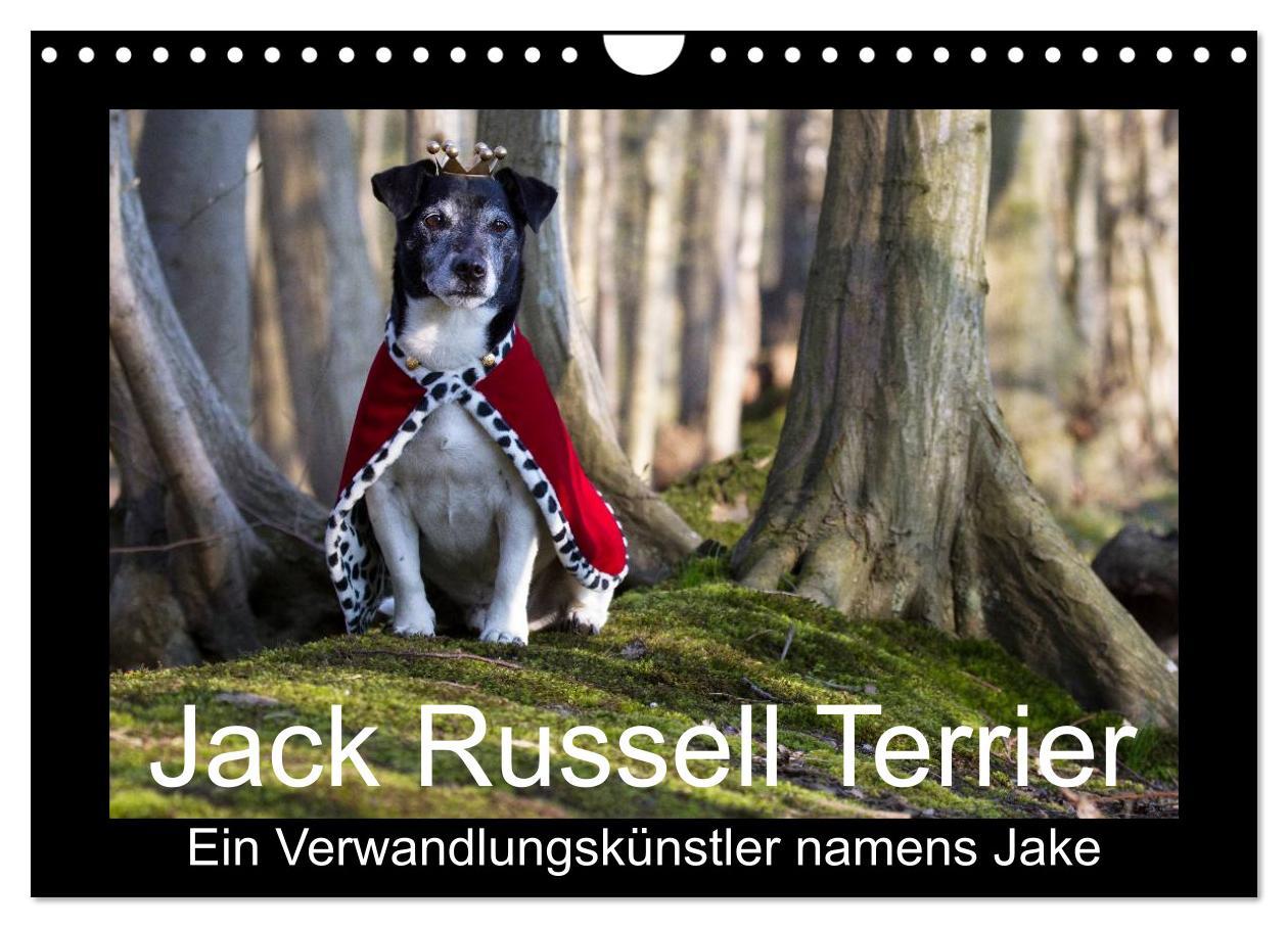 Cover: 9783435716111 | Jack Russell Terrier.....Ein Verwandlungskünstler namens Jake...