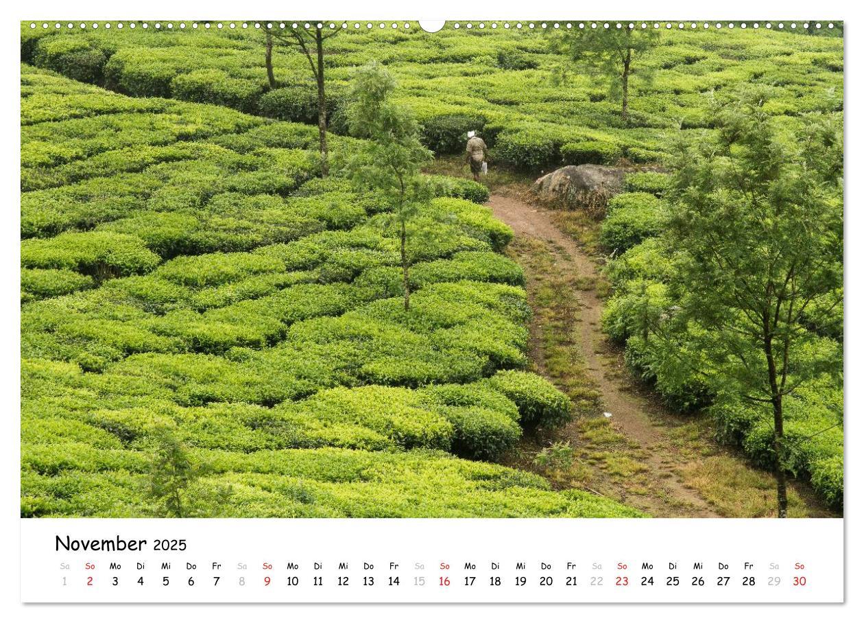 Bild: 9783435525461 | Südindien - Kerala (hochwertiger Premium Wandkalender 2025 DIN A2...