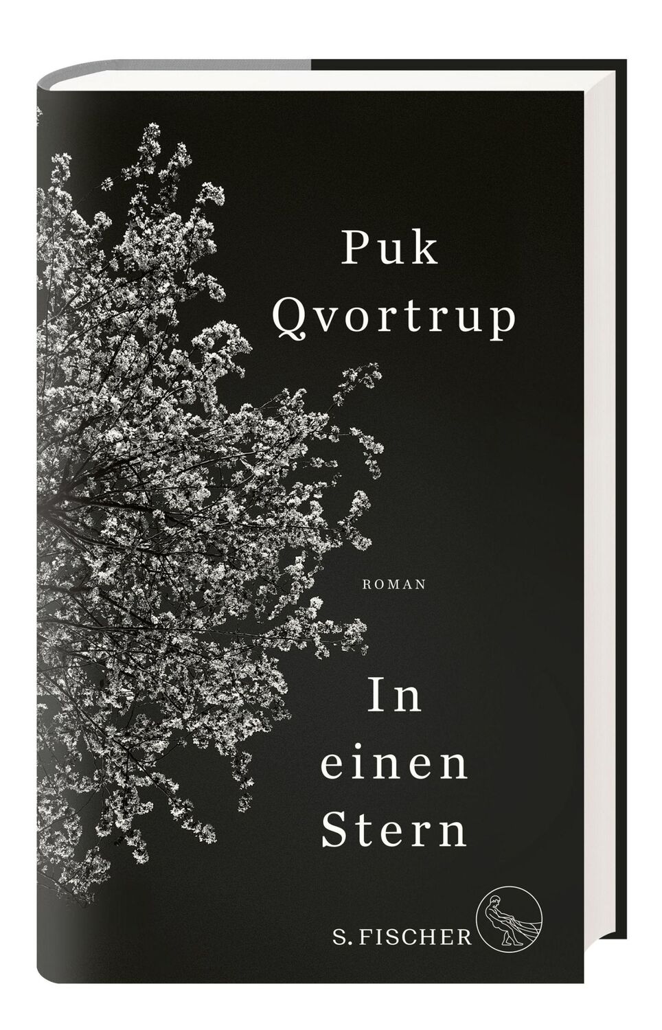 Bild: 9783103970234 | In einen Stern | Roman | Puk Qvortrup | Buch | 240 S. | Deutsch | 2021