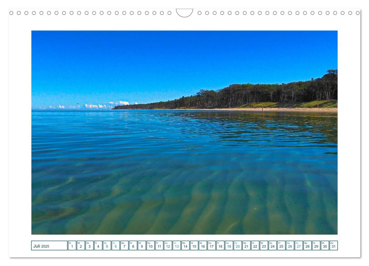 Bild: 9783457242162 | Der Weststrand am Darß (Wandkalender 2025 DIN A3 quer), CALVENDO...