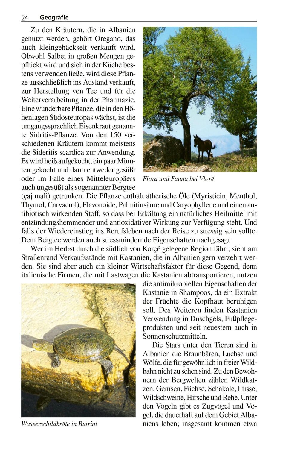 Bild: 9783897946941 | TRESCHER Reiseführer Albanien | Frank Dietze (u. a.) | Taschenbuch