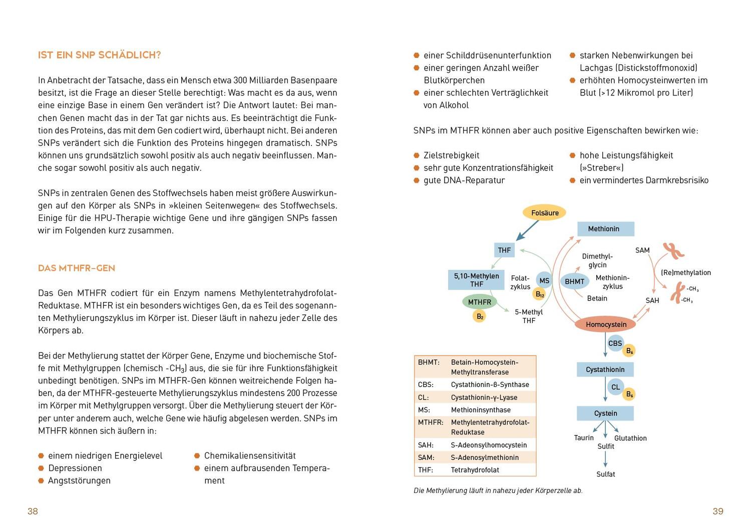 Bild: 9783742317988 | Warum bin ich so müde? | Sonja Schmitzer (u. a.) | Taschenbuch | 2021