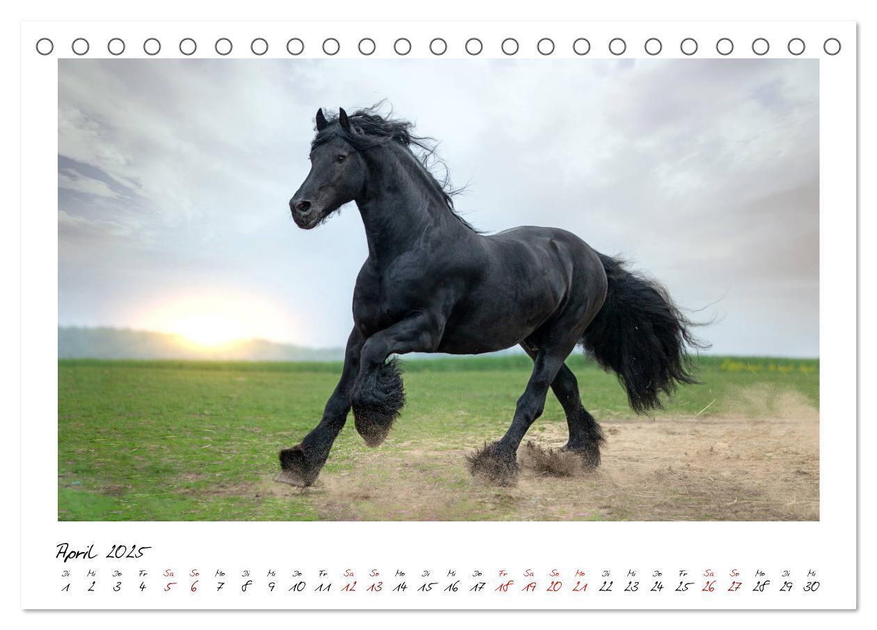 Bild: 9783435234899 | Friesen - stolze Giganten (Tischkalender 2025 DIN A5 quer),...