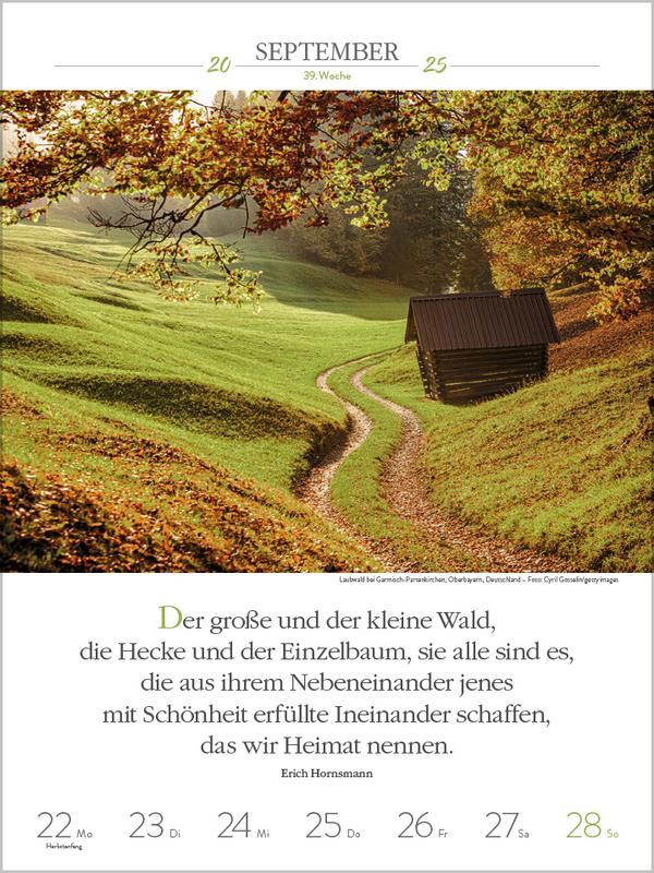 Bild: 9783731879480 | Literaturkalender Magische Wälder 2025 | Verlag Korsch | Kalender