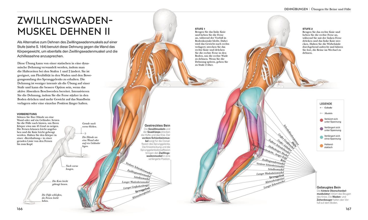 Bild: 9783831048366 | Stretching - Die Anatomie verstehen | Leada Malek | Buch | 224 S.