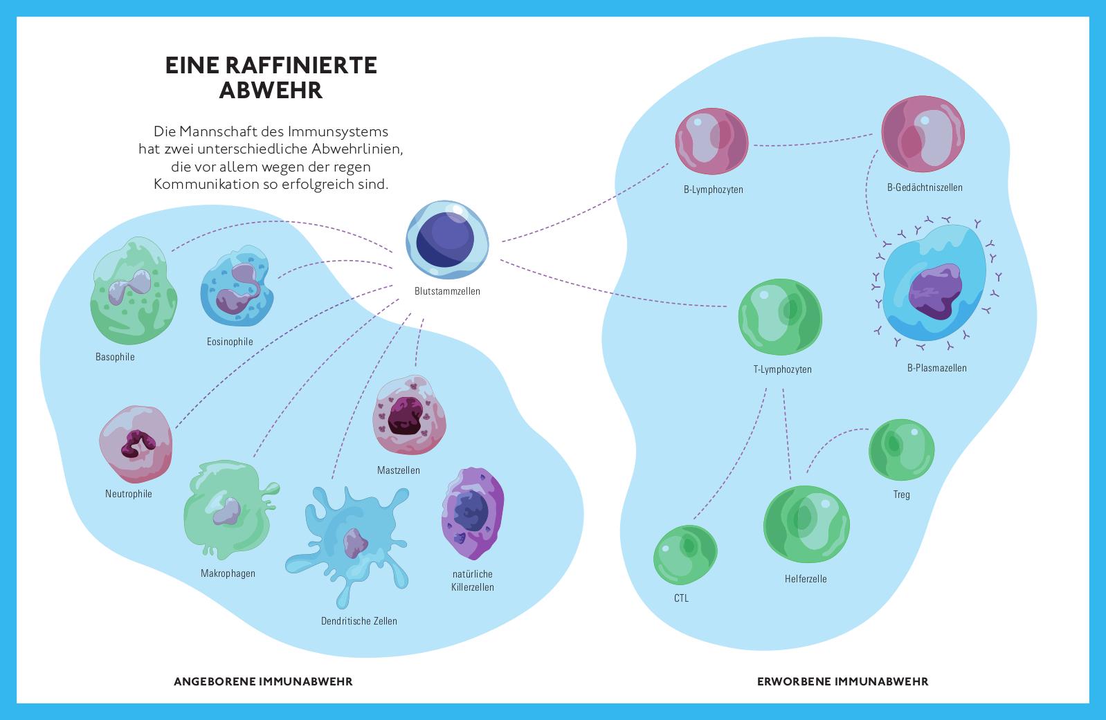 Bild: 9783747105740 | Für ein fittes Immunsystem | Christine Hutterer | Taschenbuch | 160 S.