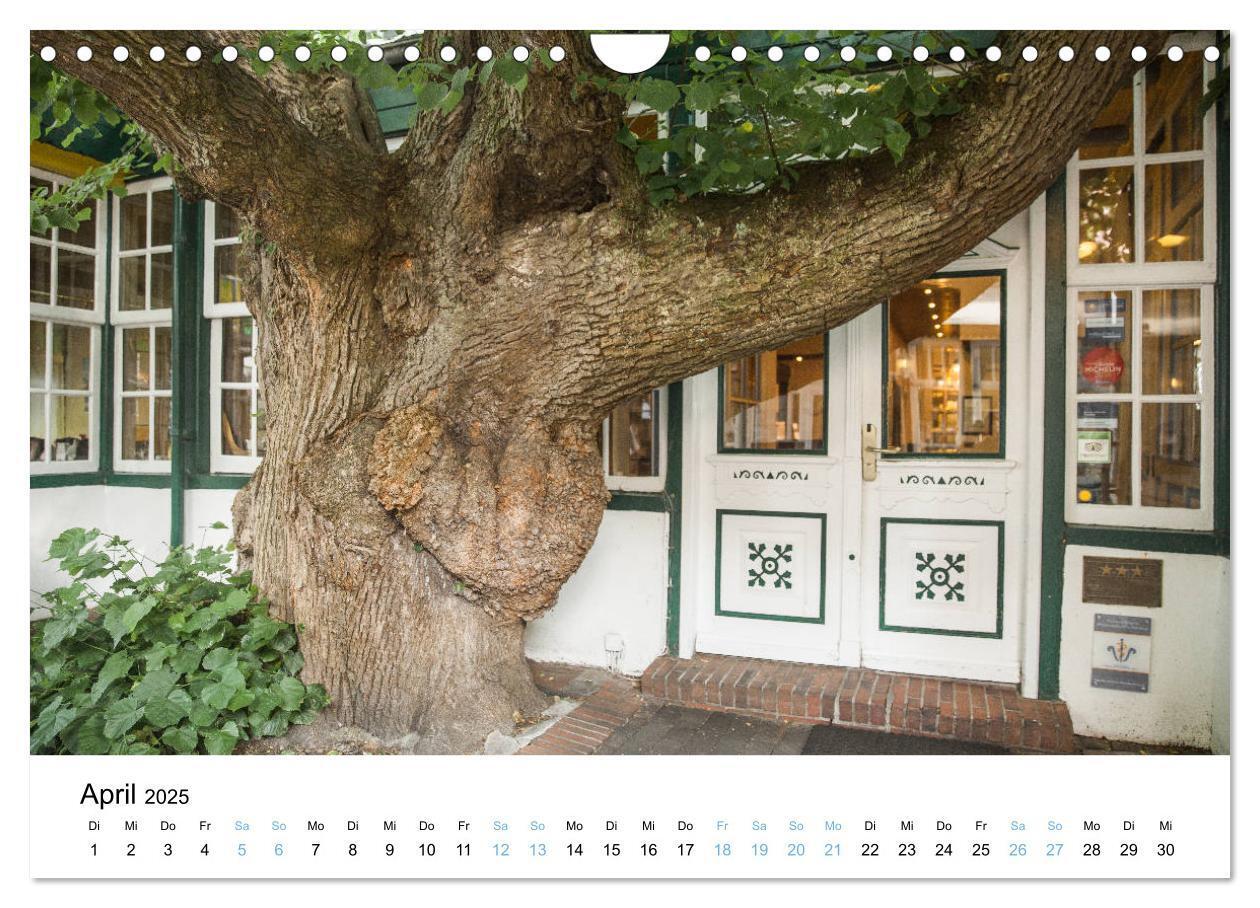 Bild: 9783435379255 | Lieblingsinsel Spiekeroog (Wandkalender 2025 DIN A4 quer), CALVENDO...