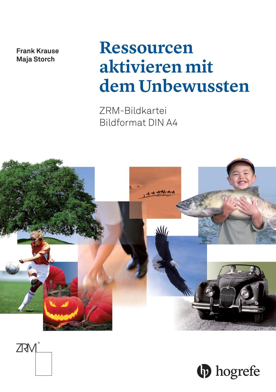 Cover: 9783456856957 | Ressourcen aktivieren mit dem Unbewussten | ZRM-Bildkartei | Buch