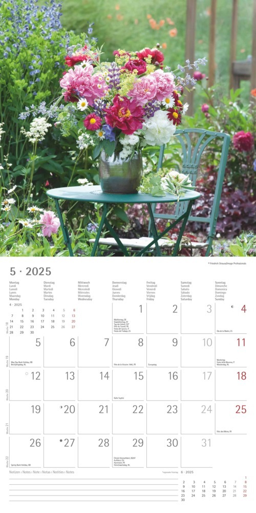 Bild: 4251732340636 | Garden &amp; Decoration 2025 - Broschürenkalender 30x30 cm (30x60...