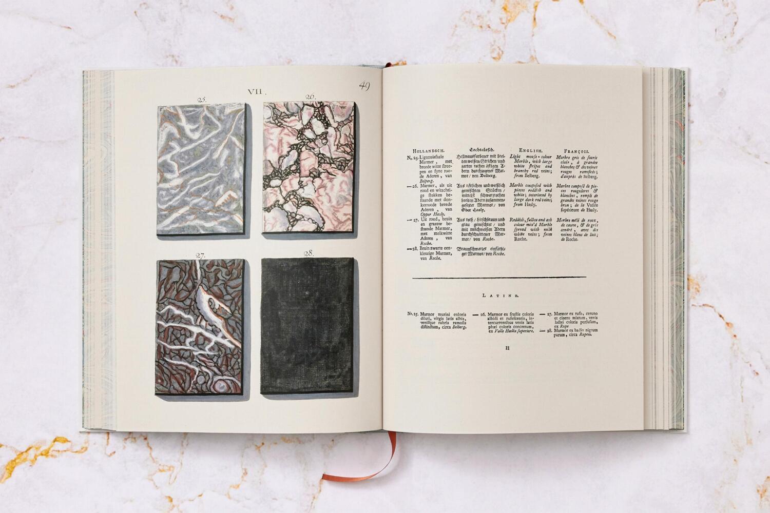 Bild: 9783836594349 | Jan Christiaan Sepp. The Book of Marble | Geert-Jan Koot | Buch | 2023