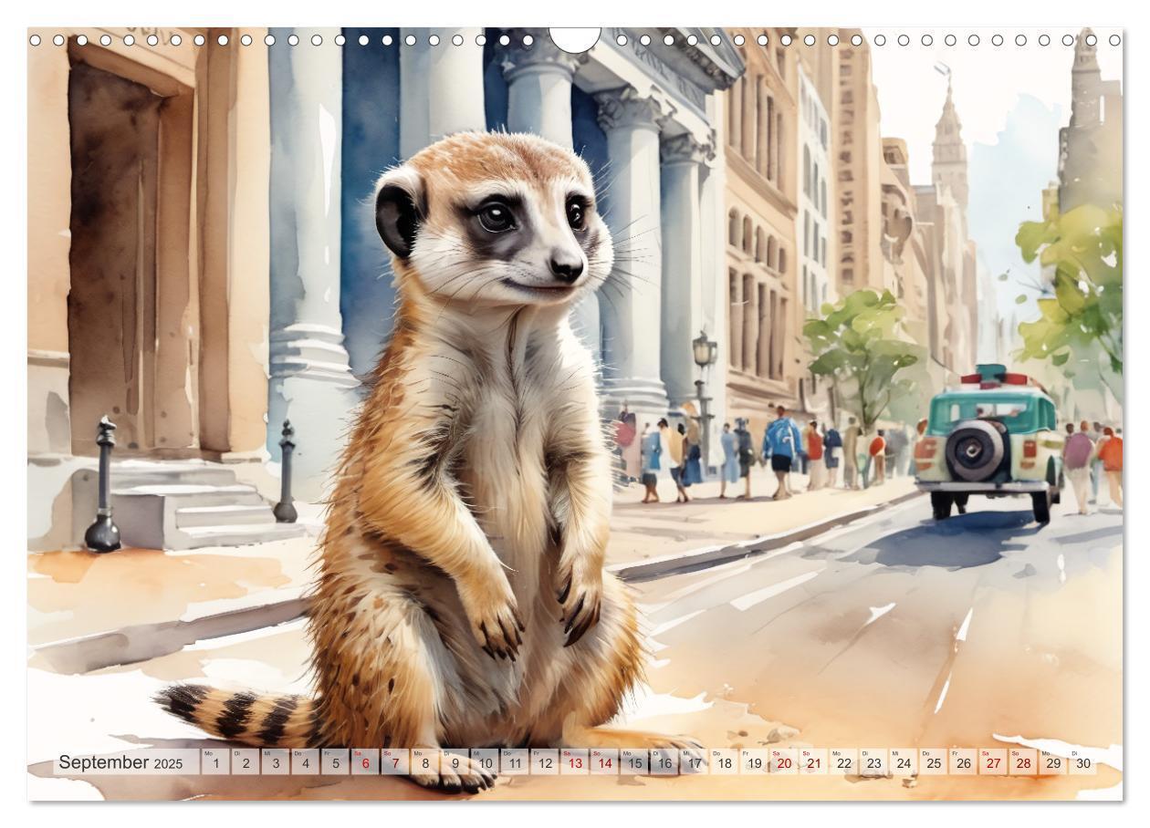 Bild: 9783383797910 | Erdmännchen in New York City (Wandkalender 2025 DIN A3 quer),...