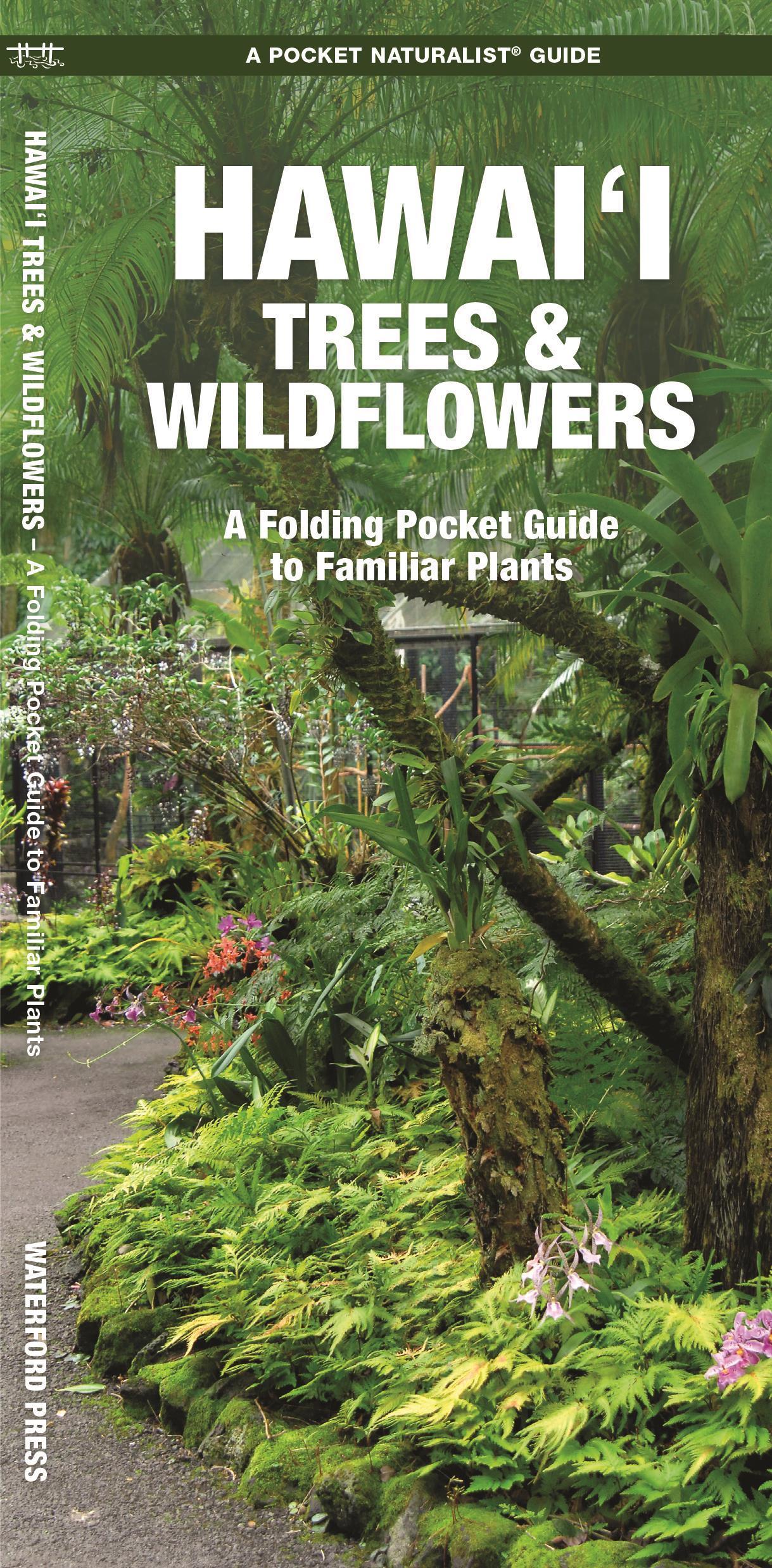 Cover: 9781620056431 | Hawai'i Trees &amp; Wildflowers | Waterford Press | Broschüre | Englisch