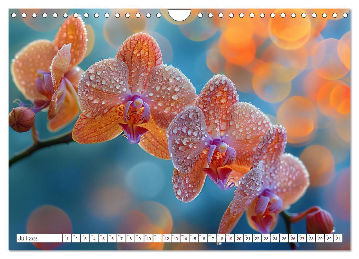 Bild: 9783457165089 | Orchideen - farbenfroh durchs Jahr (Wandkalender 2025 DIN A4 quer),...