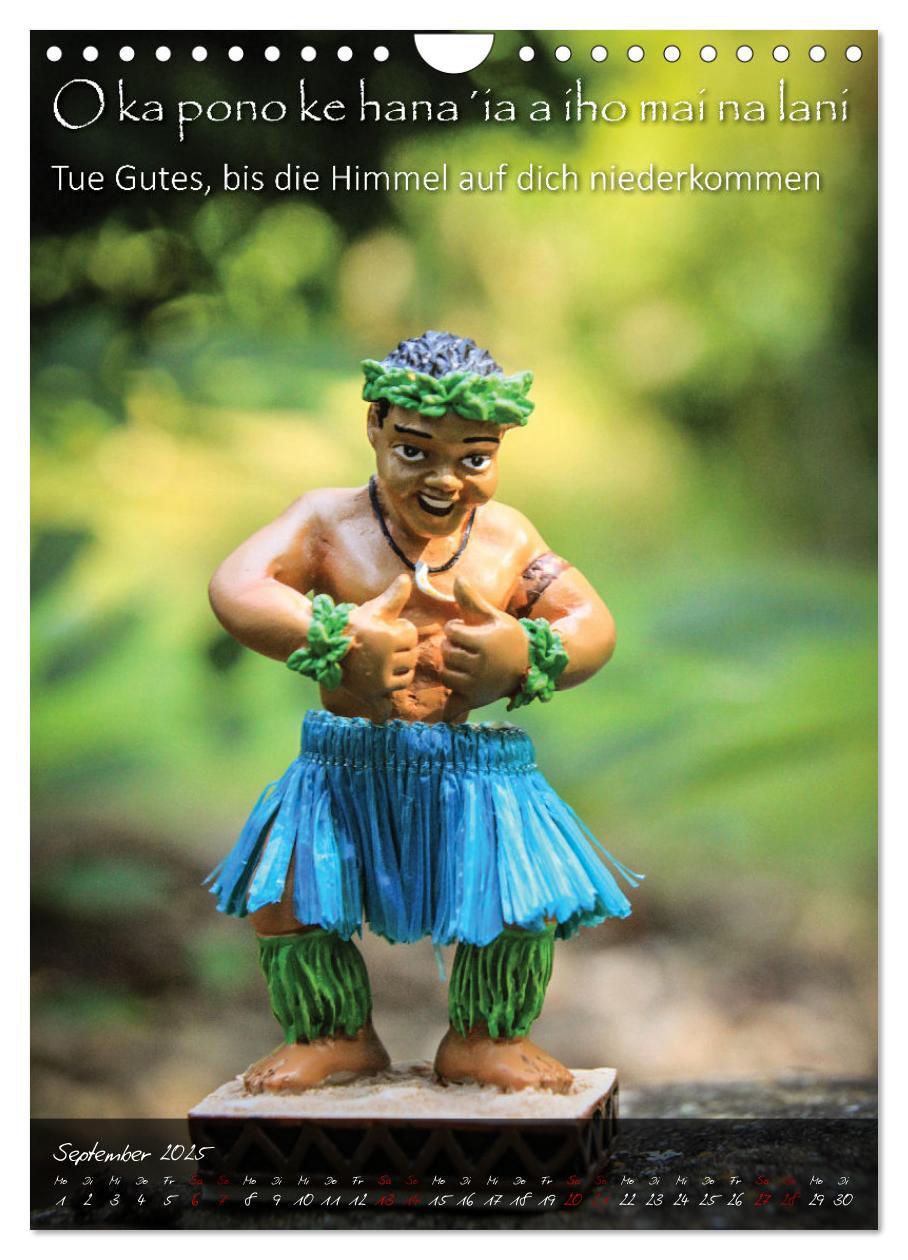 Bild: 9783435935048 | Hula Dancer - Hawaiianische Weisheiten (Wandkalender 2025 DIN A4...