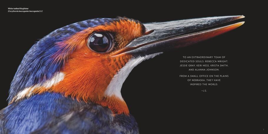 Bild: 9783866907287 | Vogelreich | Hommage an die Vielfalt | Joel Sartore (u. a.) | Buch