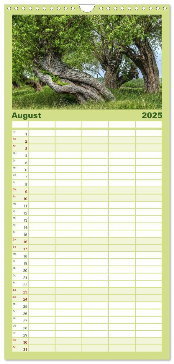 Bild: 9783457126318 | Familienplaner 2025 - Baum-Variationen mit 5 Spalten (Wandkalender,...