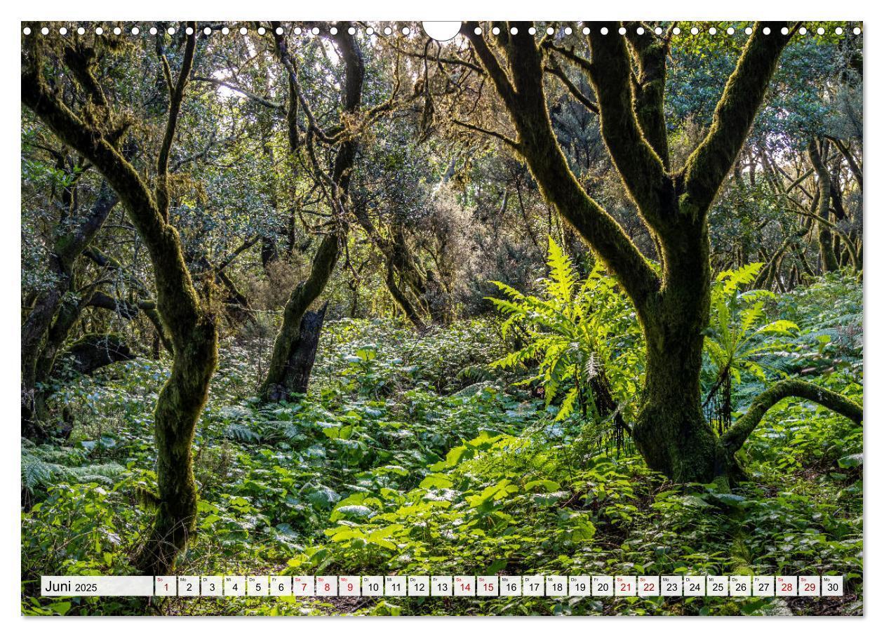 Bild: 9783383918438 | Kanarische Inseln - El Hierro (Wandkalender 2025 DIN A3 quer),...