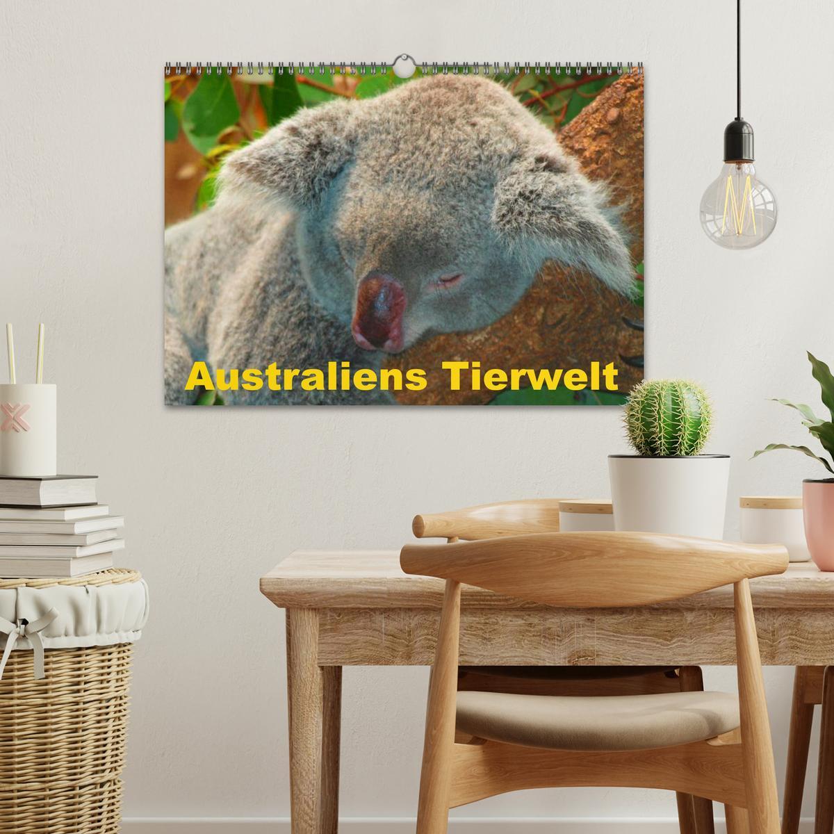 Bild: 9783435725786 | Australiens Tierwelt (Wandkalender 2025 DIN A3 quer), CALVENDO...