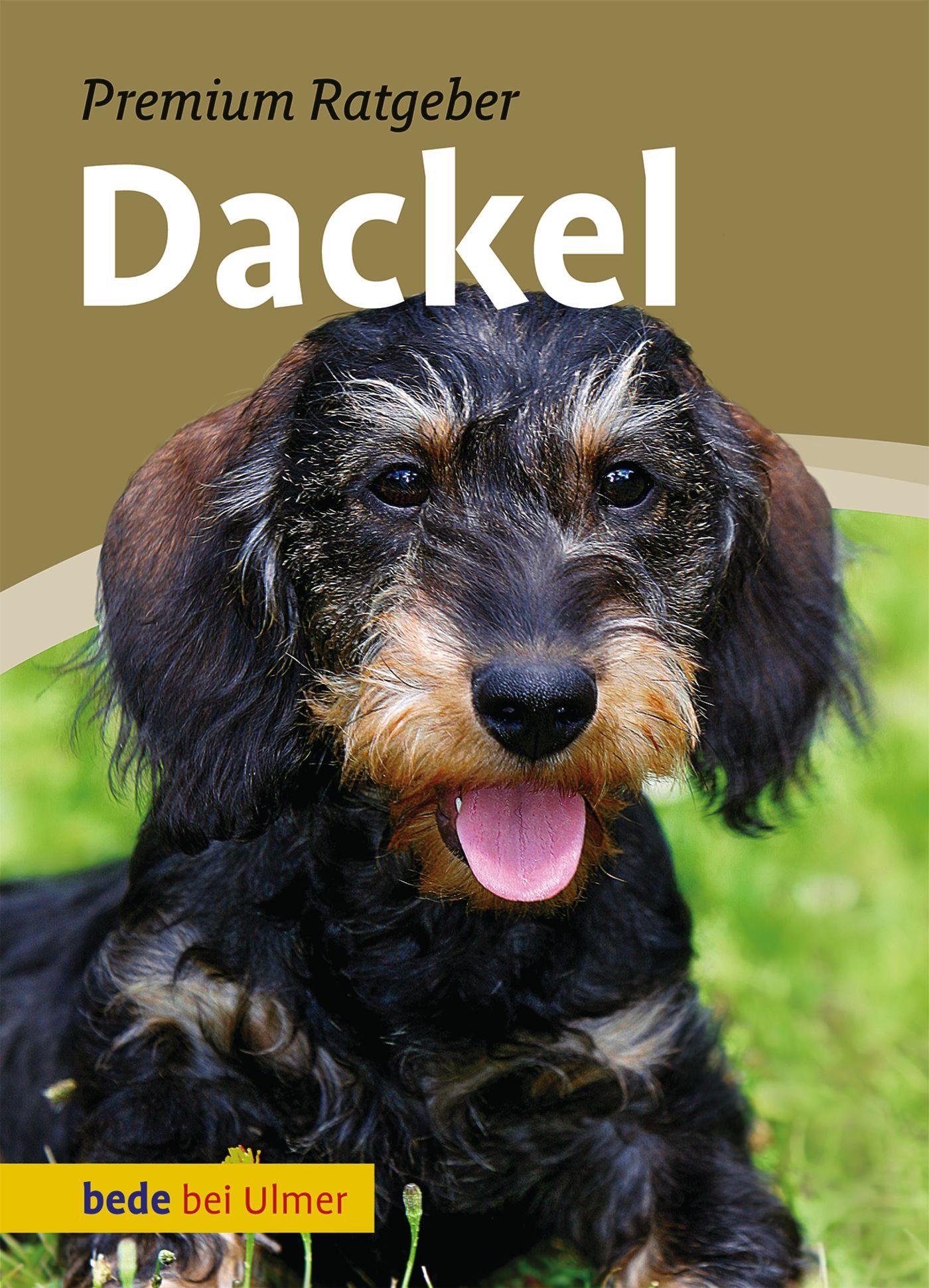 Cover: 9783800167333 | Dackel | Annette Schmitt | Buch | 127 S. | Deutsch | 2011