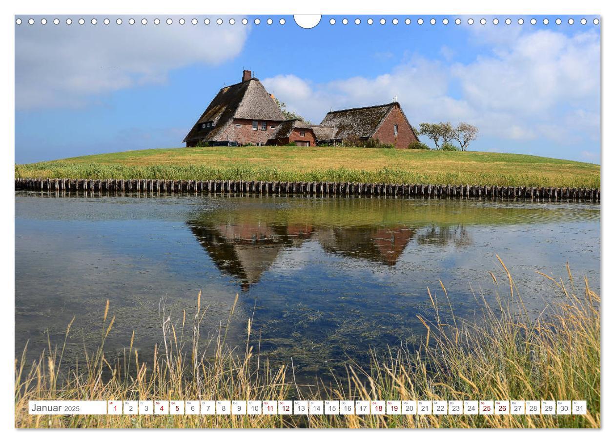 Bild: 9783435256853 | Sommertage auf Hallig Hooge (Wandkalender 2025 DIN A3 quer),...