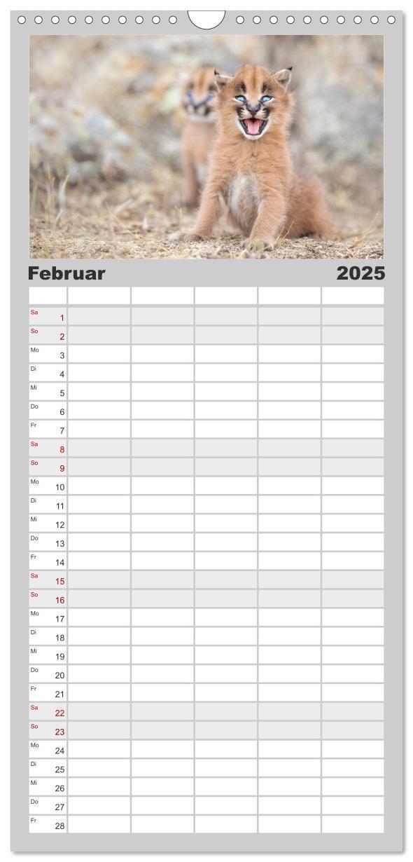 Bild: 9783457123584 | Familienplaner 2025 - Raubkatzenkinder mit 5 Spalten (Wandkalender,...